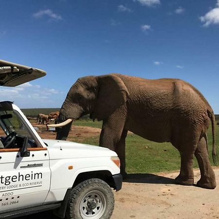 Hitgeheim Country Lodge Addo Extérieur photo