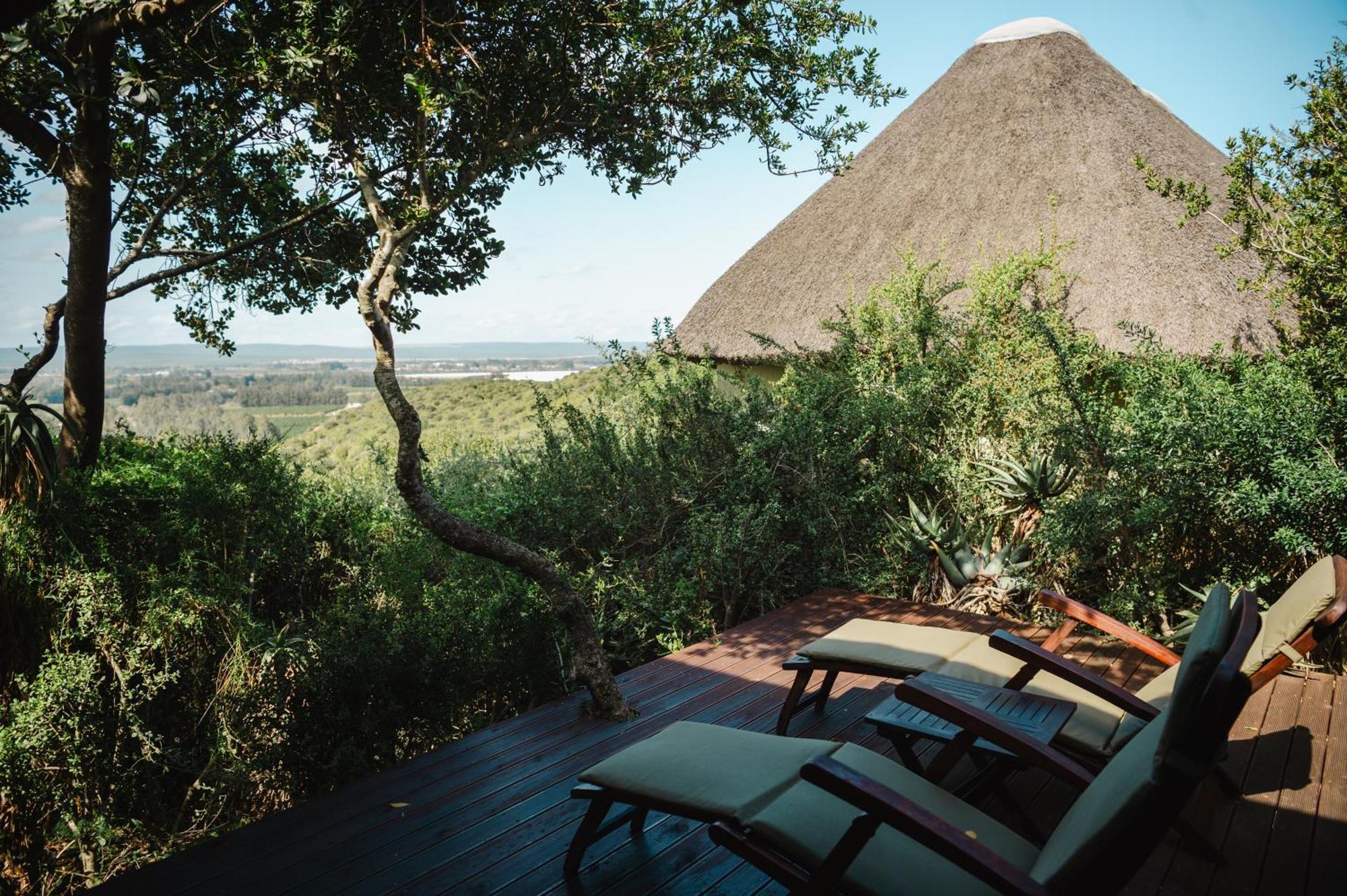 Hitgeheim Country Lodge Addo Chambre photo