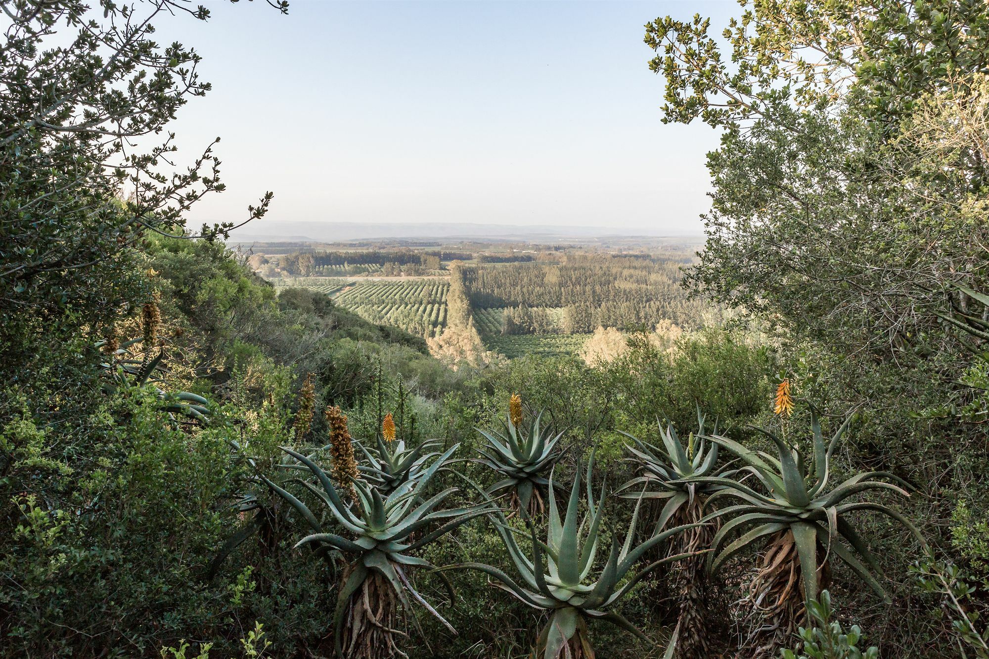 Hitgeheim Country Lodge Addo Extérieur photo